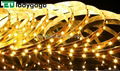 60 LEDs per meter waterproof IP65 Warm white 3528 led strip