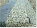 Gabion mesh 1