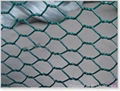 hexagonal wire mesh