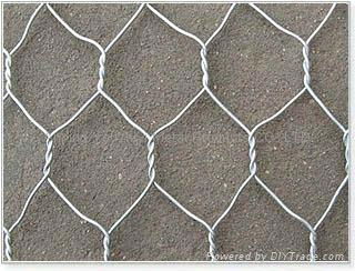 hexagonal wire mesh 2