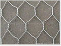 hexagonal wire mesh 2