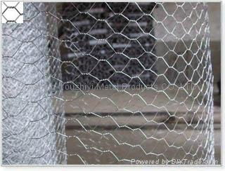 hexagonal wire mesh 4