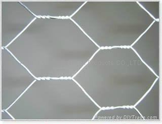 hexagonal wire mesh 5