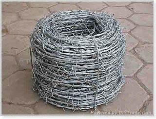 barbed wire  3