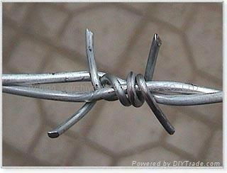 barbed wire  4