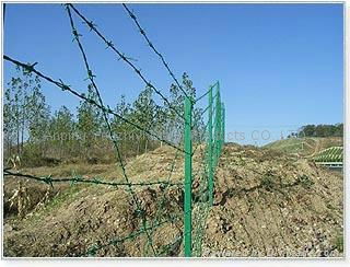 barbed wire  5