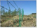 barbed wire  5