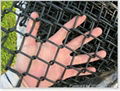 chain link mesh