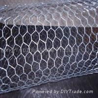 hexagonal wire mesh