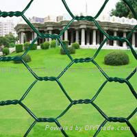 hexagonal wire mesh 2