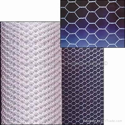 hexagonal wire mesh