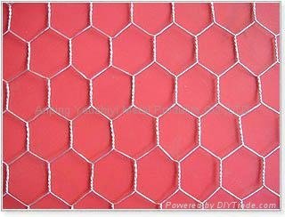 hexagonal wire mesh 4