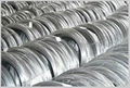 hot dip galvanized wire