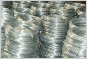 hot dip galvanized wire 3