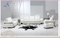 Afosngised Luxurious Leather Sofa Set