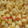 Frozen sweet corn kernels