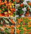 Frozen mixed vegetables