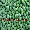 Frozen green peas