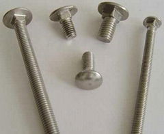 Carriage bolt