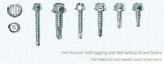 hex washer head roofing