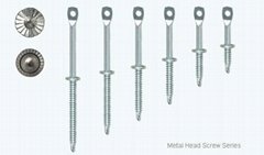 metal head screw