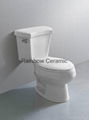 Siphonic Two Piece Toilet 1