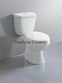 Washdown Two Piece Toilet