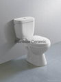 Ceramic Washdown Two Piece Toilet