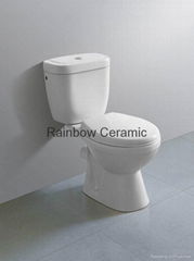 Ceramic Washdown Two Piece Toilet