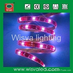 LED strip light waterproof outdoor (30leds/m)