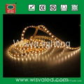 LED strip light waterproof outdoor (30leds/m) 4