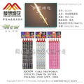 10CM silver cake fireworks 4