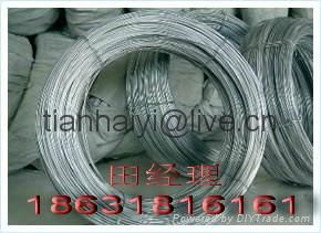 electro galvanized steel wire