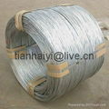 galvanised wire 2