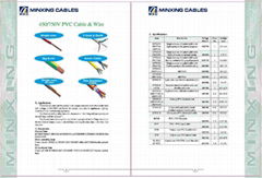 450/750V and below Cable&Wire