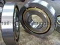 Single row angular contact ball bearing 5