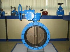 Center Line Flanged Butterfly Valve