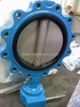 Lug Type Butterfly Valve 1