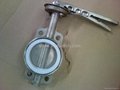 Stainless Steel Wafer Type Butterfly Valve 2