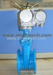 Electric Gate valve