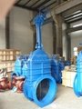 Large Sized Resilient Seated Gate Valve