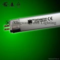 T5 Energy Saving Fluorescent Tube 