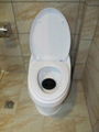 electric toilet 1