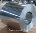 hot dip galvanzied steel coils