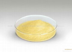 anti-mold microbial agent