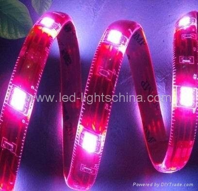 decorative LED flexible light strip  5