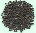 Quality Black Pepper