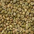 Robusta Green Coffee Bean