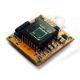 18mm Sony CCD Board Camera Module with 1/4-inch Image Sensor and 12V DC Power