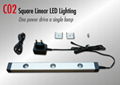 Square Linear LED Light